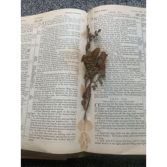 Family Bible Year Printed 1880’s by The National Publishing Co AS IS - Picture 16 of 16